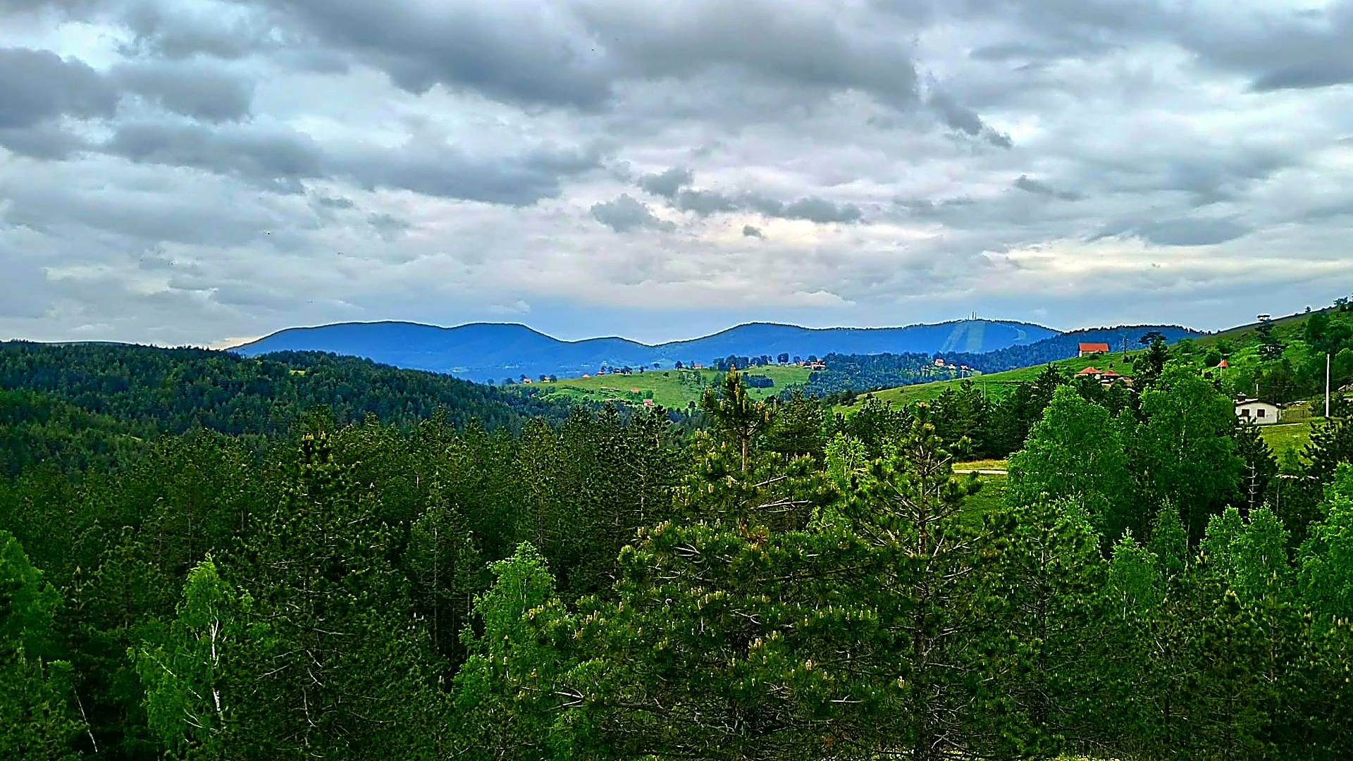 Pogled na Tornik sa Kobilje Glave, Zlatibor